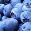 Blueberry extract - Betasulin Composition 